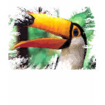 toucan t-shirts