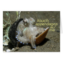 touch appendages card