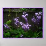 touch of purple posters