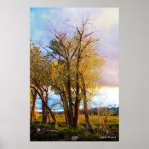 Touch of Spring Posters