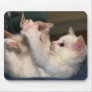 Touchy Toes Mouse Pads