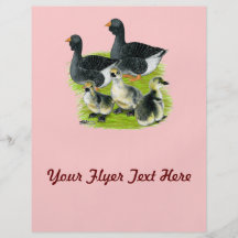 Toulouse Goose Family Flyers
