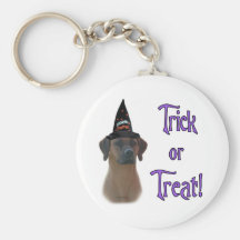Tour de Rhodesian Ridgeback Porte-clef