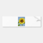 Tournesol Adhésif Pour Voiture