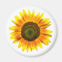 Tournesol Aimant Pour Réfrigérateur