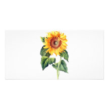 Tournesol Photocarte Customisée