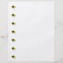 Tournesol rétro-éclairé prospectus personnalisés