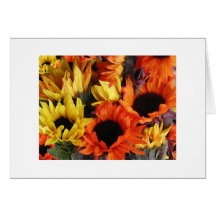 Tournesols Cartes