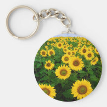 Tournesols dans Fargo, le Dakota du Nord Porte-clés