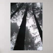 Towards the heavens print
