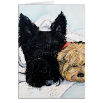Toweling Off! Scottie and Yorkie Buddies Greeting Cards