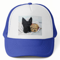 Toweling Off! Scottie and Yorkie Buddies Hats