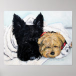 Toweling Off! Scottie and Yorkie Buddies posters