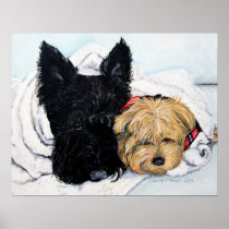 Toweling Off! Scottie and Yorkie Buddies Poster