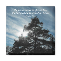 Towering Pines Refrigerator Magnets