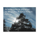 Towering Pines postcards