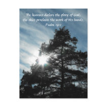 Towering Pines Post Cards