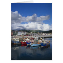 Town and Harbour, Dingle, County Kerry,