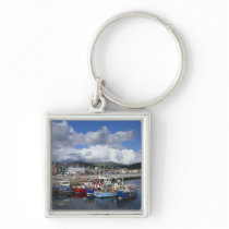 Town and Harbour, Dingle, County Kerry,