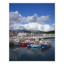 Town and Harbour, Dingle, County Kerry,