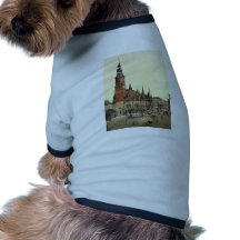 Town hall, Breslau, Silesia, Germany (i.e., Wrocla Pet Tee Shirt
