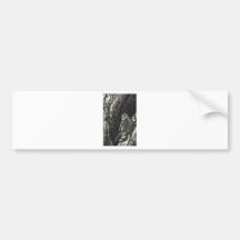 Townsend's Warbler Bumper Stickers