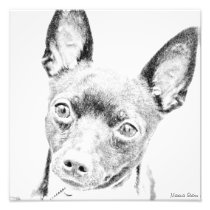 TOY FOX TERRIER PHOTO ART