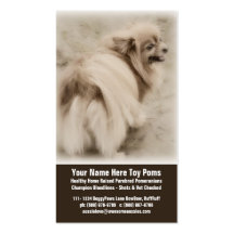 Toy Pom Puppy Business Card