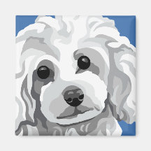 Toy Poodle Refrigerator Magnets