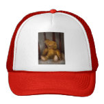 Toy - Teddy Bear - My Teddy Bear  Hats