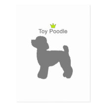 ToyPoodle g5 葉書き