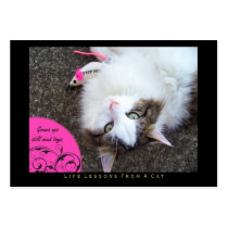 Toys Life Lessons From a Cat ACEO Art Trading Card