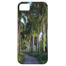 Track through palm trees iPhone 5 cover