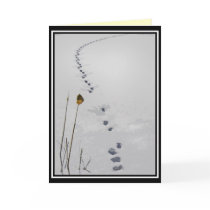 Tracks in the Snow Seasons Greetings Greeting Cards