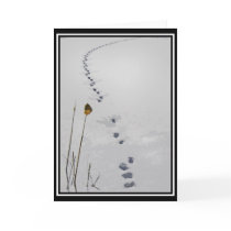 Tracks Note Card