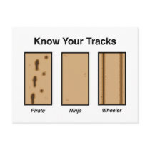 Tracks Postcard