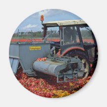 Tractor in the bulb fields, Netherlands  flowers Fridge Magnet