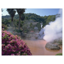 Traditional mineral water bath, Bephu, Japan Flyer Design