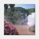 Traditional mineral water bath, Bephu, Japan Magnets