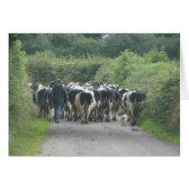 Traffic Jam! Greeting Card