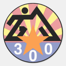 Trail 300 Sticker