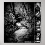 Trail Image Poster