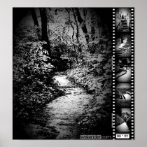 Trail Image Poster