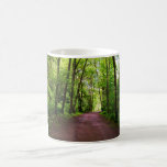 Trail in the Woods Mugs
