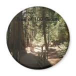 Trail of 100 Giants (1) Fridge Magnet