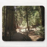 Trail of 100 Giants (1) Mouse Pads