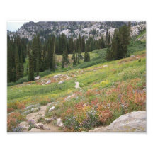 Trail to Blue Lake, Cascade, ID #4014 Photograph
