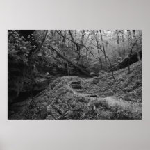 Trail to Some Where Print