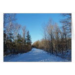 Trail View Cards