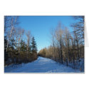 Trail View cards